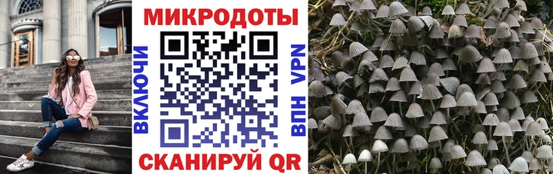Галлюциногенные грибы Psilocybine cubensis Светлый